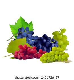 Grapes. Fresh, nutritious, tasty grapes. A delicious and healthy dessert. Elements for label design. Fruit ingredients in mesh technique. Vector illus