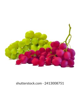 Grapes. Fresh, nutritious, tasty grapes. A delicious and healthy dessert. Elements for label design. Fruit ingredients in mesh technique. Vector illustration.
