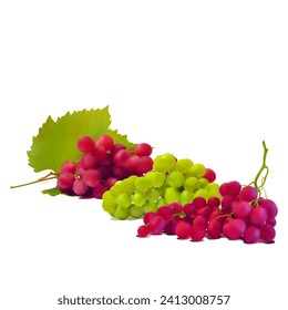 Grapes. Fresh, nutritious, tasty grapes. A delicious and healthy dessert. Elements for label design. Fruit ingredients in mesh technique. Vector illustration.