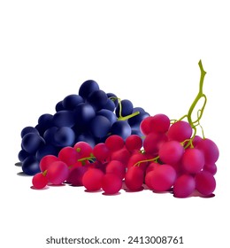 Grapes. Fresh, nutritious, tasty grapes. A delicious and healthy dessert. Elements for label design. Fruit ingredients in mesh technique. Vector illustration.