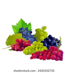 Grapes. Fresh, nutritious, tasty grapes. A delicious and healthy dessert. Elements for label design. Fruit ingredients in mesh technique. Vector illustration.