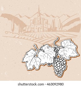 Grapes in Front of Vintage Vineyard Farm Sketched Hand drawn Vector Artwork