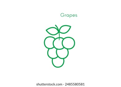 Grapes froots vector image illustration
