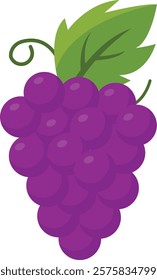 Grapes Fruit Cartoon Ilustration Design