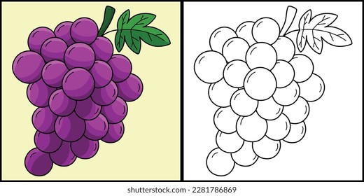 Grapes Fruit Coloring Page Colored Illustration