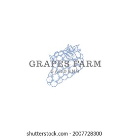 grapes fruit farm store logo