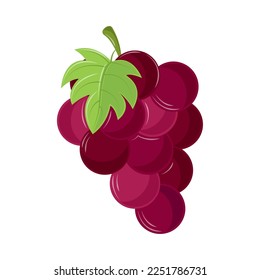 grapes fruit flat icon isolated