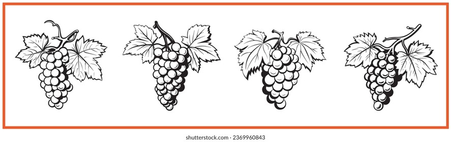 grapes fruit flat minimal vector logo style silhouette collection