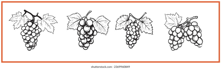 grapes fruit flat minimal vector logo style silhouette collection
