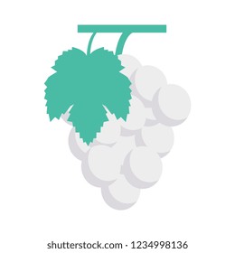 grapes   fruit   food 