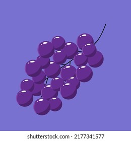 vectores de ilustración de fondo fresco de frutos de uva