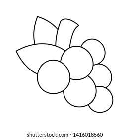grapes fruit fresh vector ilustration