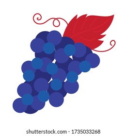 grapes fruit hand draw style icon vector illustration design