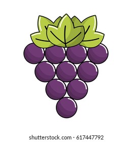 grapes fruit icon image