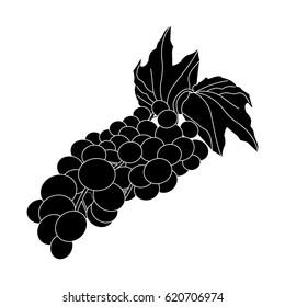 grapes fruit icon image 