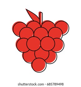 grapes fruit icon image 