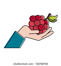 grapes fruit icon image 