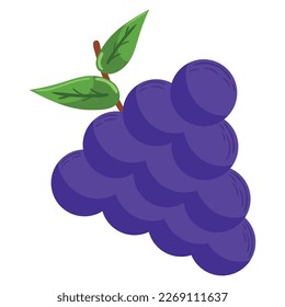 grapes fruit icon isolated design