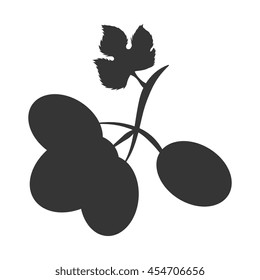 Grapes fruit icon, isolated flat icon design