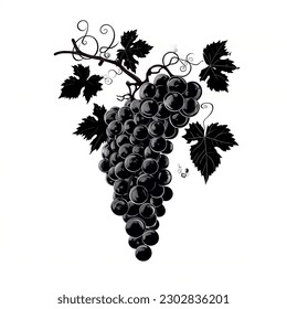 Icono de frutas de uvas sobre fondo blanco. Ilustración vectorial. Silhouette negra. 