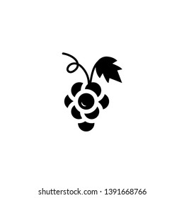 grapes fruit icon vector illustration