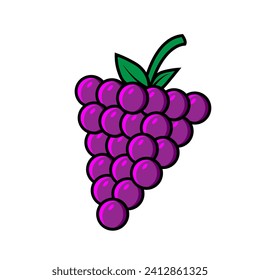 grapes fruit icon vector illustration