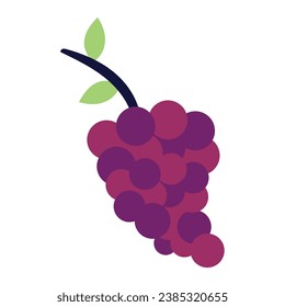 vector de ilustración de uvas aisladas