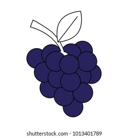 Grapes fruit isolated