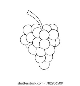Grapes fruit isolated