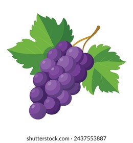 Ilustración plana aislada del vector de la fruta de uva