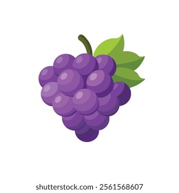 Grapes fruit isolated flat vector illustration on white background