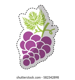 grapes fruit isolated icon