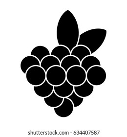 grapes fruit isolated icon