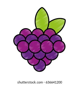 grapes fruit isolated icon