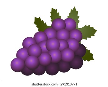 Grapes fruit isolated on white background