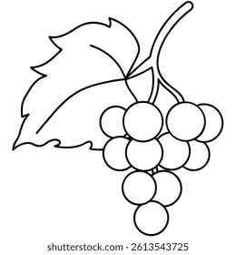 Grapes Fruit Line Art Vector for Kids Hand Drawing and Learning – Simple Tropical Fruit Outline Illustration