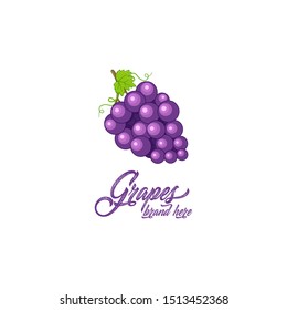 Grapes, fruit logo vector template. Grapes in flat style. Grape icon. Grapes and Healthy Fruit design with modern style. Grapes Vector illustration