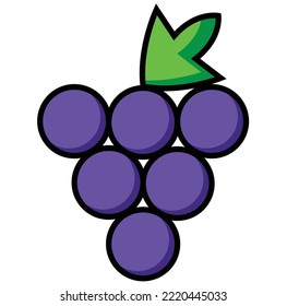 Grapes fruit set vector illustration concept design