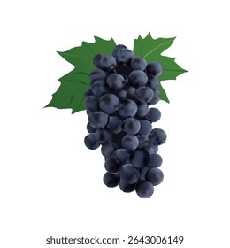 grapes fruit Slice illustration on white backgorund vol 01