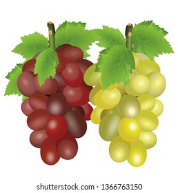 Grapes Fruit Sweet