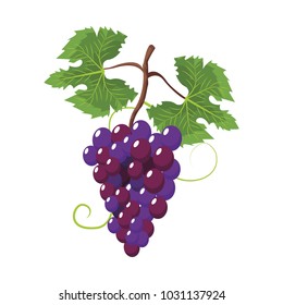 Grapes fruit symbol