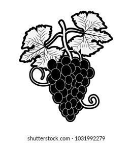 Grapes fruit symbol