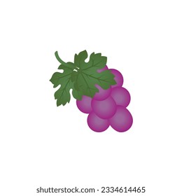 Grapes Fruit Vector Icon Fruit