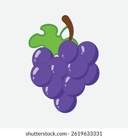 Grapes fruit vector illustration design