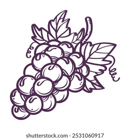 Imagen de Vector de frutas de uvas, arte de Clip de uva, ícono de símbolo de uva, arte de línea de uva dibujado, Vector decorativo de uva de vino.