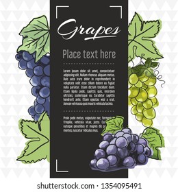 grapes fruit vector menu design templates. Vector fruit illustration with hand drawn doodles for greeting card, banner	
