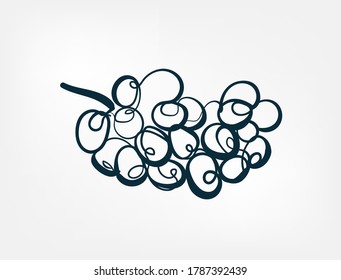  grapes fruit vector one line art isolated illustration