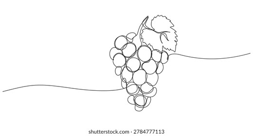 Grapes fruits continuous one line drawing minimal design,grape fruit continuous one line drawing, Single continuous line drawing healthy organic grapes for vineyard logo identity