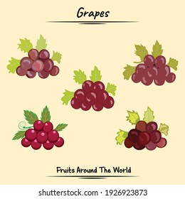 Grapes Fruits Illustration Used For Ingredients Some Food And Drink, Graphic Element, Fruit Book Asset