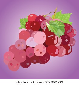 Traubenfruchtvektor für Illustrator